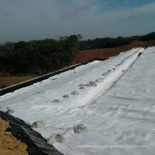 300g, 600g Polyester Filament Geotextile for Landfill